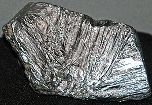 Molybdenite (Wolfram Camp, Dinbulah, Queensland, Australia) (19057113310)