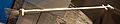 Moon tongs in National Museum of Natural History