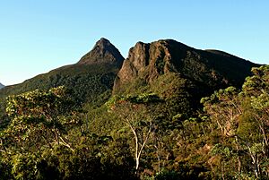 Mount Gould and The Minotaur