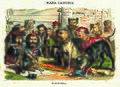 Museo Zumalakarregi Exposición El siglo XIX en caricaturas