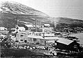 New Island Whaling Station