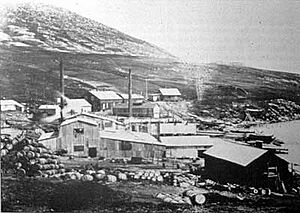 New Island Whaling Station