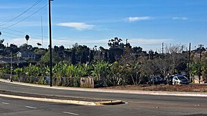 New Roots Community Farm, San Diego (1)