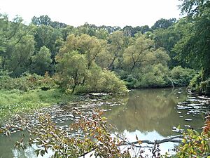North Branch Big Timber Creek