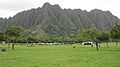 Oahu-Kualoapark-mountainridge