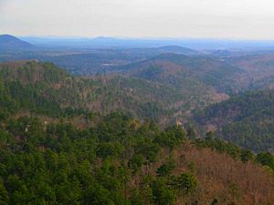 Ouachita Mountains from Hot Springs Mountain Tower
