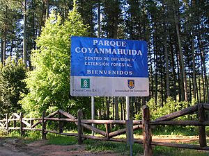 Parque Coyanmahuida