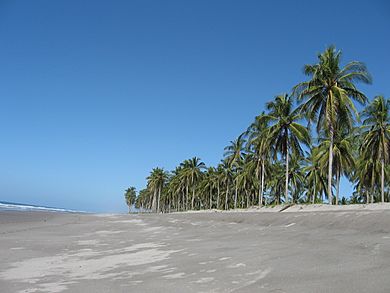 Playa de Corral de Mulas, Usulután, El Salvador - panoramio