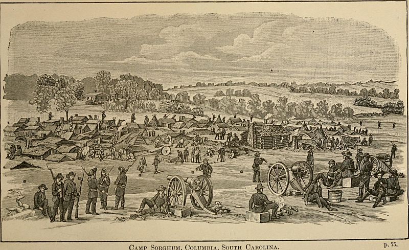 Prisoners of war and military prisons; personal narratives of experience in the prisons at Richmond, Danville, Macon, Andersonville, Savannah, Millen, Charleston, and Columbia with a list of officers (14759573681)