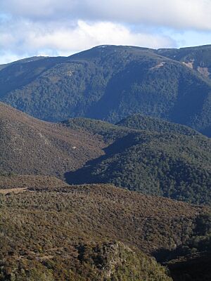 Red Hills ultramafic Nelson New Zealand