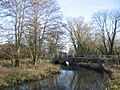 River Wylye at Norton Bavant