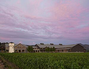 Silver Oak Oakville