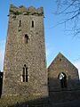 St. Mary's Church, Callan - geograph.org.uk - 1479408