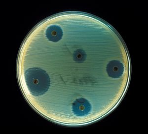Staphylococcus aureus (AB Test)