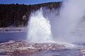 SteadyGeyser-Mahler1969