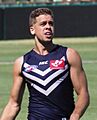 StephenHillMarch2016