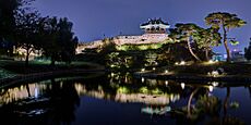 Suwon Hwaseong Fortress (181353281)