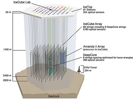The IceCube Neutrino Observatory