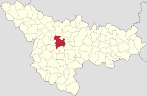 Location in Timiș County