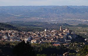 The village seen from La Llena. In the distance, Móra d'Ebre