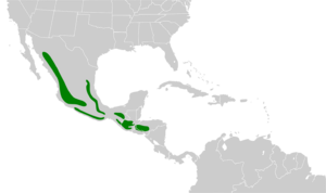 Trogon mexicanus map.svg