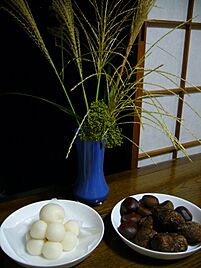 Tsukimi,moon-viewing-party,japan.JPG