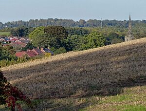 View towards Cotgrave - geograph.org.uk - 6027612.jpg