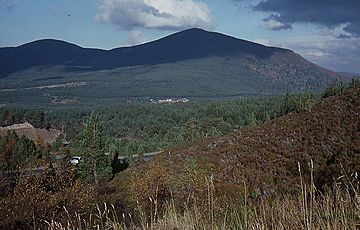 View towards Meall a' Bhuachaille - geograph.org.uk - 1092391.jpg