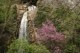 Waterfall, Tbilisi Botanical Garden, Georgia