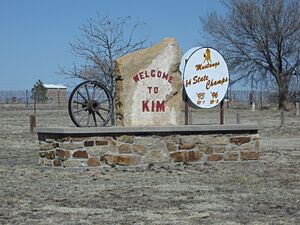 Welcome Sign (2009)