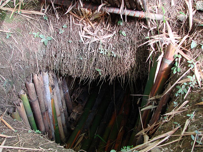 Yokoicave