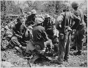 "Group of CBs acting as stretcher bearers for the 7th Marines. Peleliu.", 09-1944 - NARA - 532537