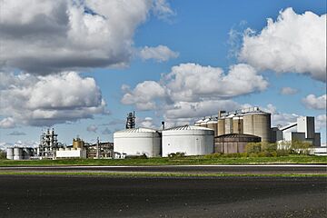 -2021-04-15 Wissington Sugar Factory (1)