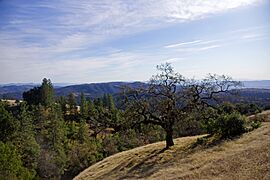 2011-12-04 Morgan Hill, Henry W. Coe State Wilderness Park 003 (6492982235)