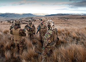 20130606 OH H1013410 0010 - Flickr - NZ Defence Force