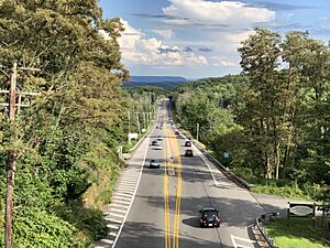 2022-08-09 17 04 46 View south along Pennsylvania State Route 611 (Pocono Boulevard) from the overpass for the rail line just south of Fork Street in Mount Pocono, Monroe County, Pennsylvania
