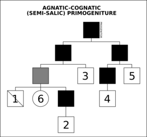 Agnatic-cognatic primogeniture diagram