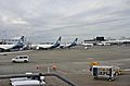 Alaska Airlines planes at Sea-Tac