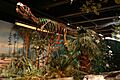 Albertosaurus (2386806536)