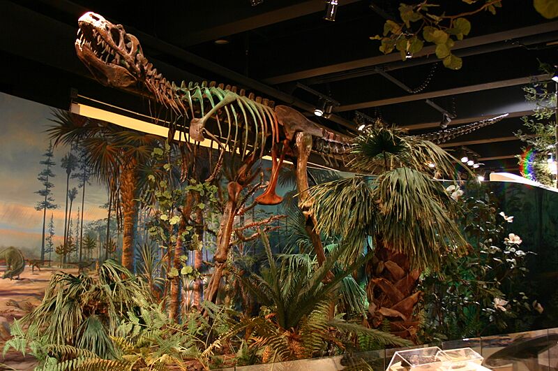Albertosaurus (2386806536)
