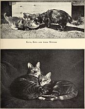Alexander and some other cats (1929) (17327083564)