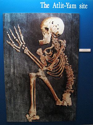 Alit-Yam – Human skeleton