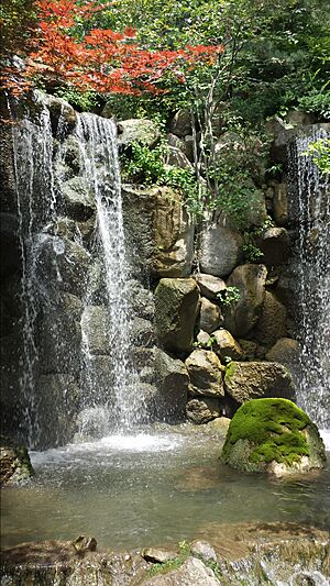 Anderson Japanese Gardens waterfall