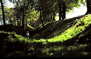 Antonine's Wall at Watling Lodge - geograph.org.uk - 1140335