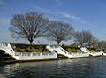 Argyle Lake Babylon Village