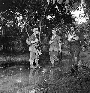 Australian wounded around Oivi November 1942 (AWM image 013621).jpg