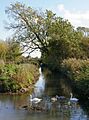 Barrow Blow Wells Nature Reserve - geograph.org.uk - 1006466