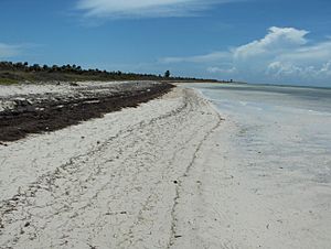 Beach 9