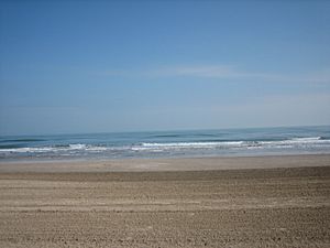 Beach at South Padre Island Picture 1114