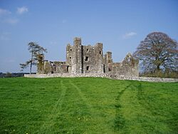 Bective Abbey.JPG